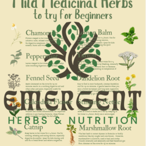 Screenshot 2026 03 13 141505